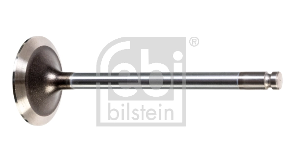 Intake Valve